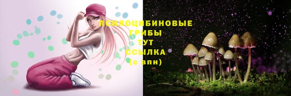 apvp Алексеевка