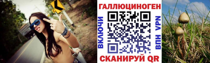 Псилоцибиновые грибы MAGIC MUSHROOMS  цены наркотик  Похвистнево 